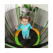 Батут DFC Jump kids 55" (137см) 55INCH-JD-GY зелено-желтый 75_75