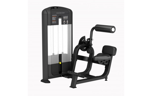 Разгибатель спины Fitex Pro FTX-FB31 600_380