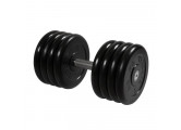 Гантель Профи с вращающейся ручкой, 41 кг MB Barbell MB-FdbM-B41