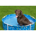Каркасный бассейн для животных 122х30,5см Bestway Fetchin' Fun Pet Play Pool 561KM 75_75
