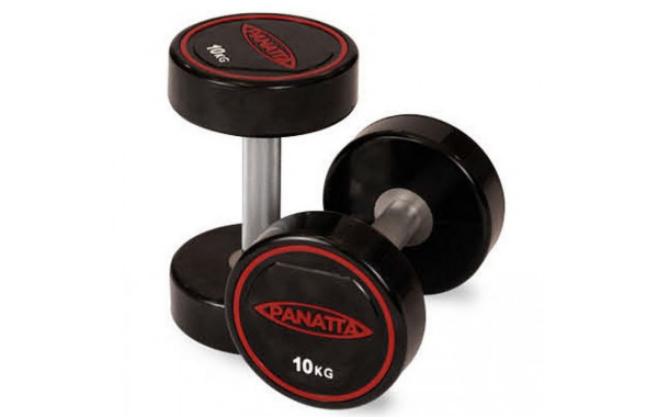 Уретановая гантель 42,5 кг Panatta 1RD425 600_380