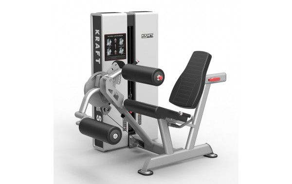 Разгибание ног/Сгибание ног сидя Kraft Fitness EXACT KFDXLCE 600_380