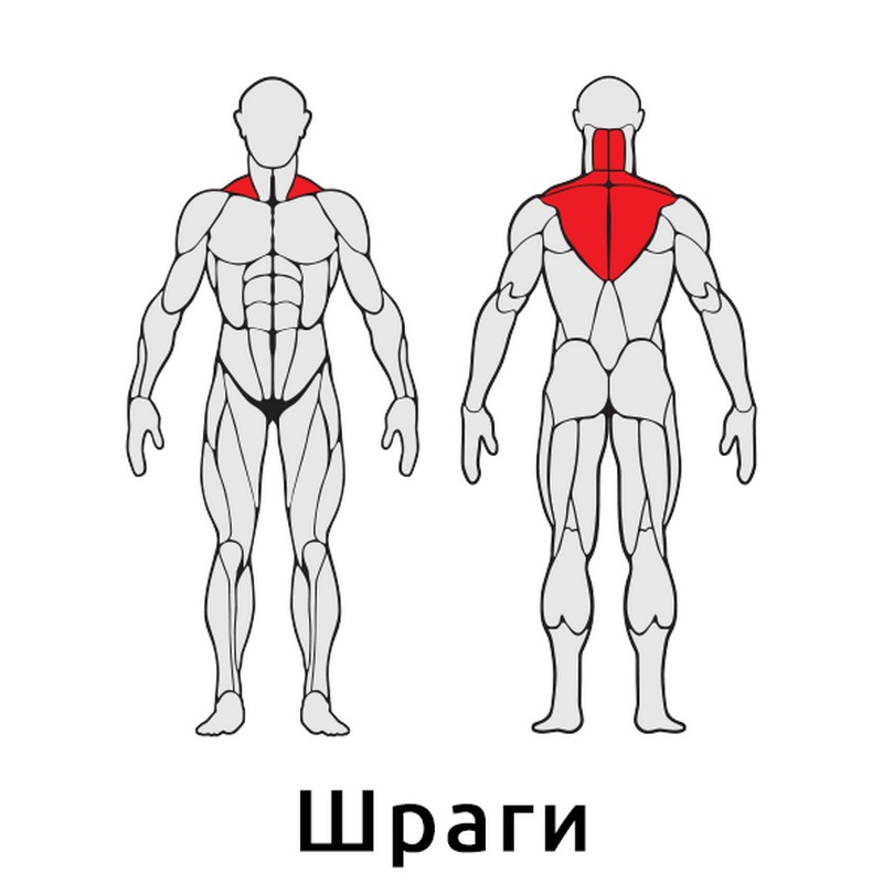 Приседания/шраги Iron King S411 800_800