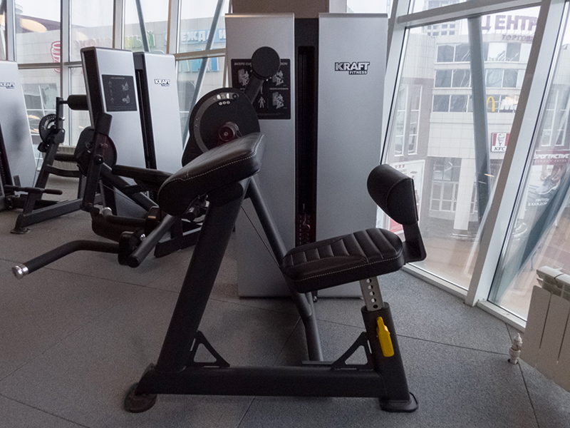 Бицепс/Трицепс сидя Kraft Fitness EXACT KFDXBT 800_600