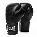 Перчатки тренировочные Everlast Spark 16oz черн/гео. 120_120